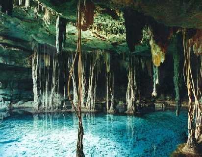 Yucatan cenote and jungle